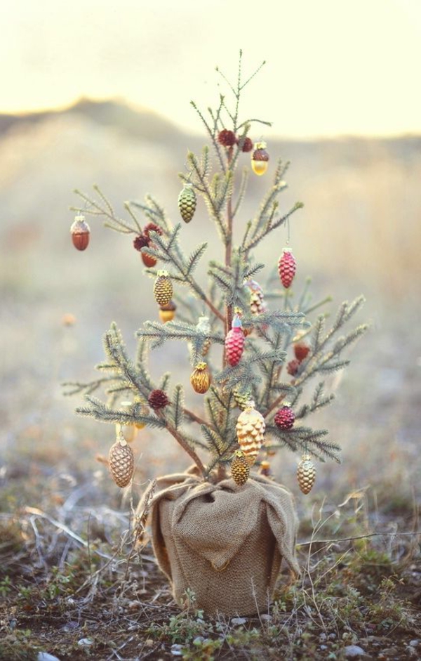 интересни Коледна елха Снимки конуси
