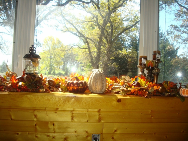 intéressant-fenêtre-décoration-à-halloween-original diy idées