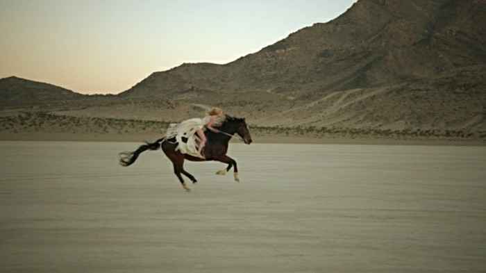 интересни снимки на красиви коне тапети-бесен кон