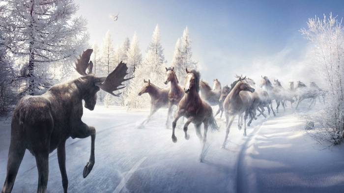 ενδιαφέρουσα εικόνα-άλογο-in-χιόνι