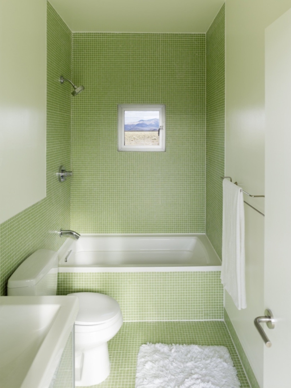 हरी इंटीरियर डिजाइन-विचार-छोटे स्नान