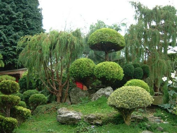 Ιαπωνικό κήπο σχεδιασμού ωραίο σχήμα-δέντρα-σύγχρονο-κήπο