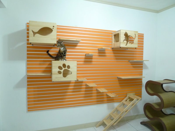 Αναρρίχηση τοίχων γάτα Catswall (2)