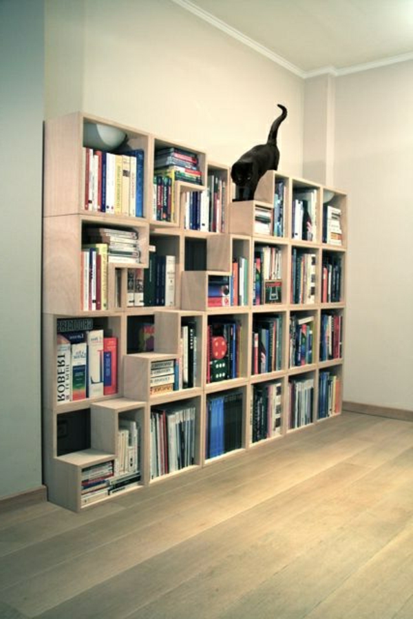cat-αναρρίχηση τοίχο-βιβλιοθήκη