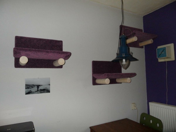 котка катерене на стена домашно-лилаво-стълби