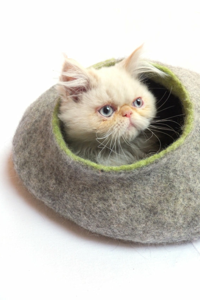 חתולים עזרים המיטה המעטפת חתול בבריטניה