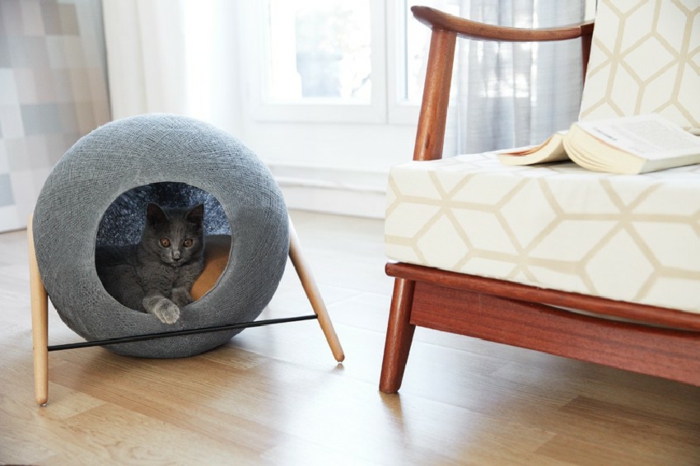 אביזרי חתולים - עיצוב-מיטה לחתול