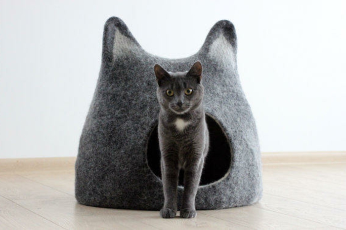 pribor za mačke -grey-cat-and-gray-bed-uk