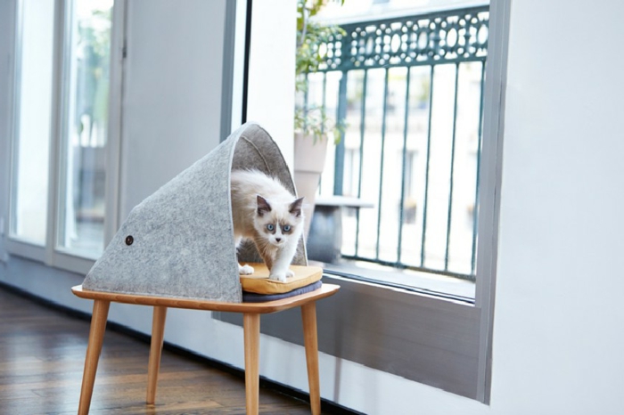 γάτες αξεσουάρ-ιδέες-πρωτότυπο-κρεβάτι-για-γάτα