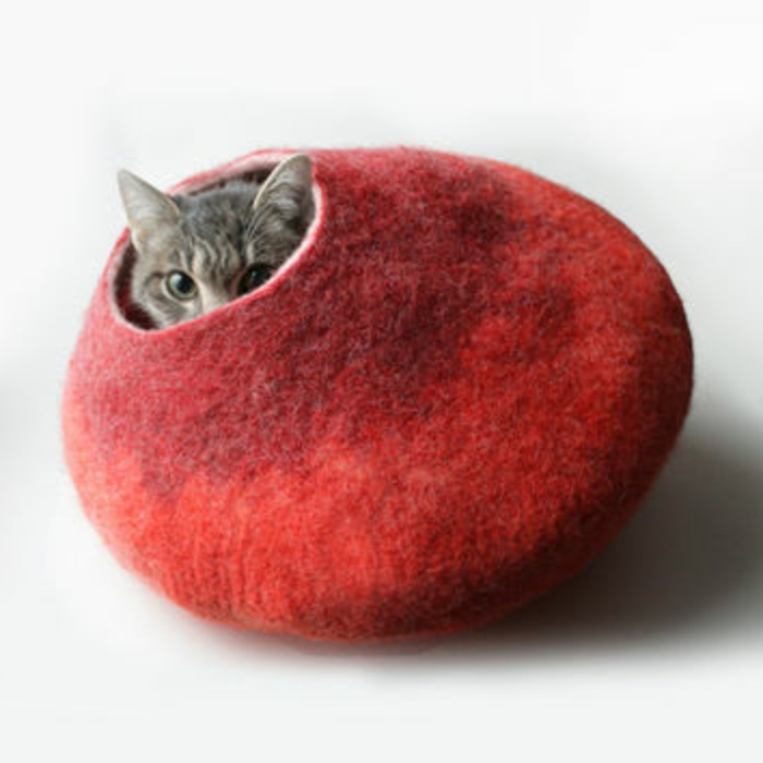 accesorios de gatos en rojo para su gato