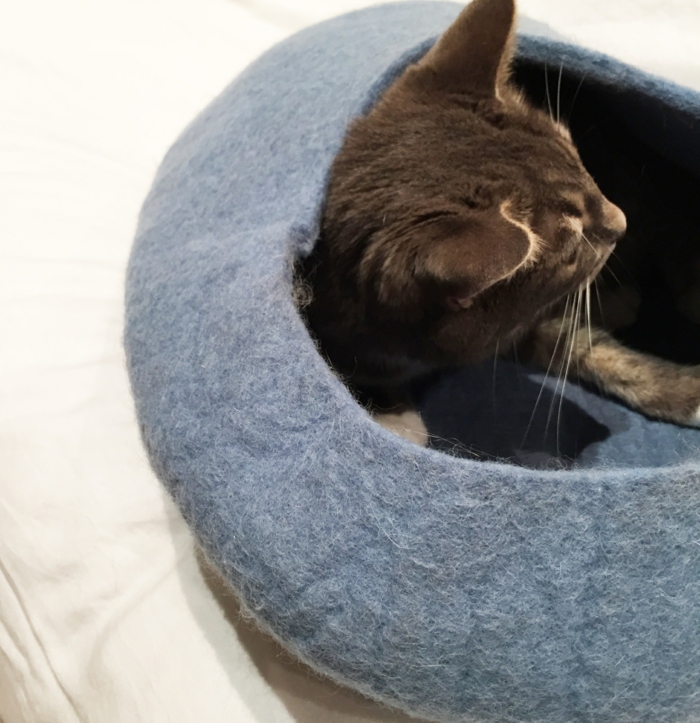 accesorios para gatos -cat-in-blue-cocoon-bed