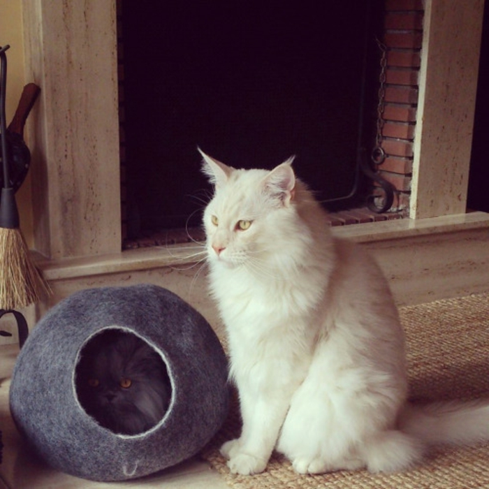 Котки аксесоари-пашкул-бет-персийски котка