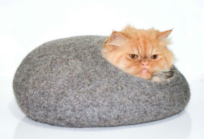 accesorios para gatos -orange-cat-in-bed