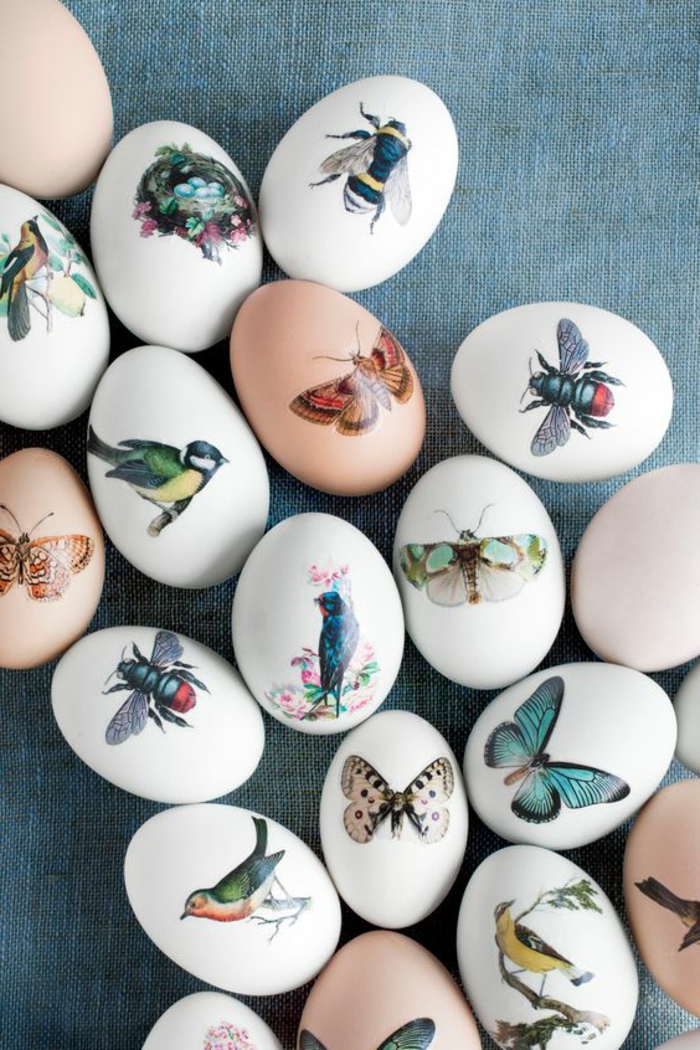 татуировка шаблони малко колоритен татуировки върху яйцата правят пеперуда птица цветни снимки на бяло
