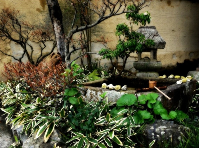 حديقة صغيرة التصميم مع الحجارة الفائقة الأفكار