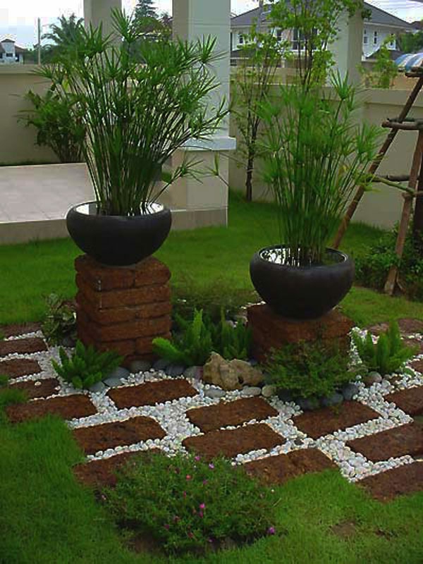 декоративни зелени саксийни растения за градината