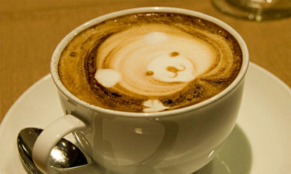kis medve-of-kávé hab