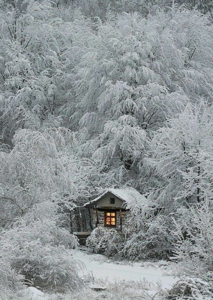छोटे और आरामदायक कुटीर-अंडर-पेड़ से ढके-साथ-बर्फ से रोमांटिक सर्दियों छवि