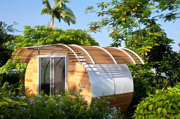 Izgradnja malih kuća-super-zanimljiv dizajn s palme okolinom