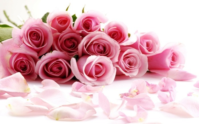 безплатно тапети Валентин-Unique-розови рози-красив-погледнем