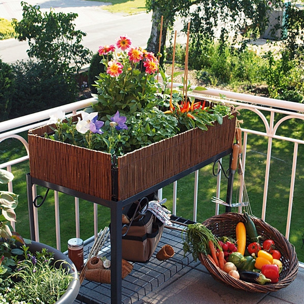 билка градина-като-hingucker-на-на собствен балкон