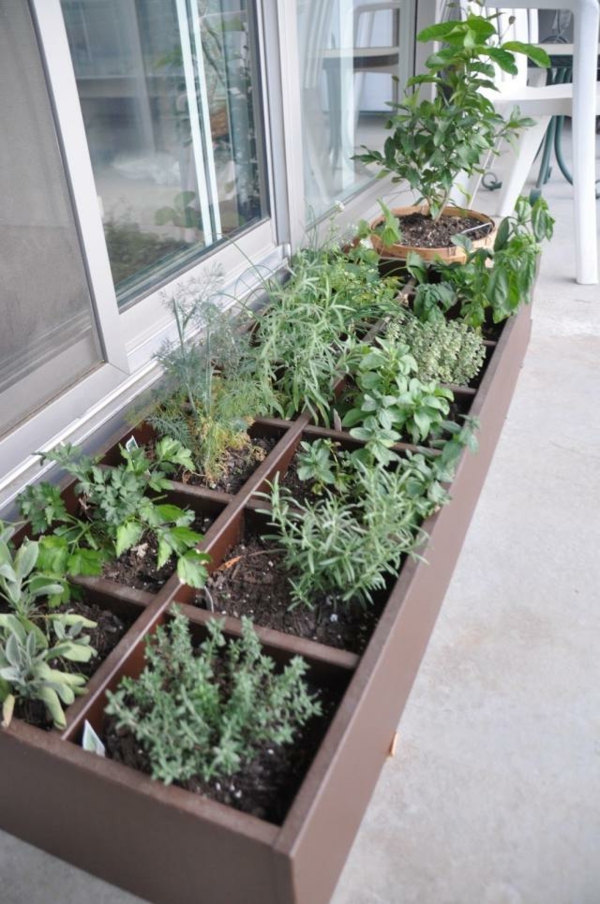 Kräuter-балкон-растение-градина-инвест-дървена кутия-сплит