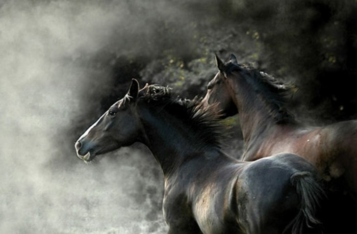 το πολύ-δημιουργική make-λήψη-η-πιο-άλογο-Worlds-dark-με-είτε κομψά