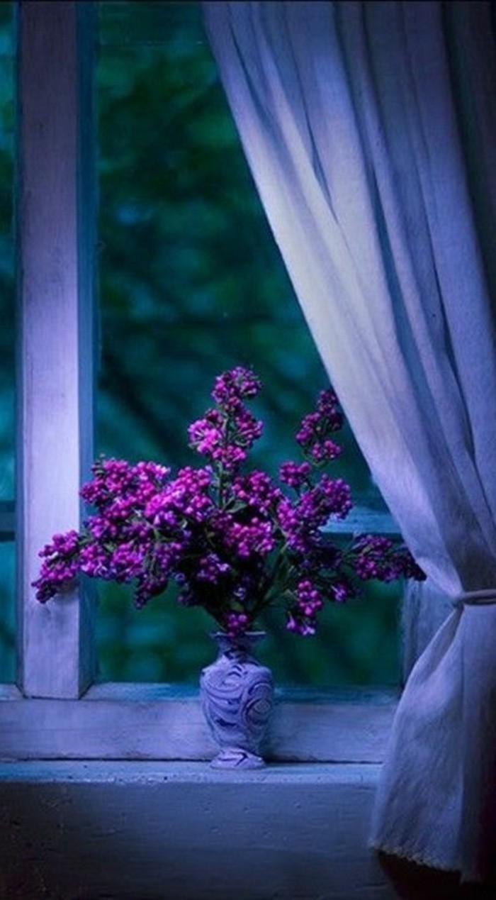 лилаво цвете организиране най-прозореца
