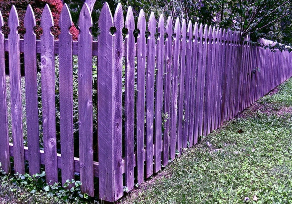 suuri-violetti aita puutarha maisemointi