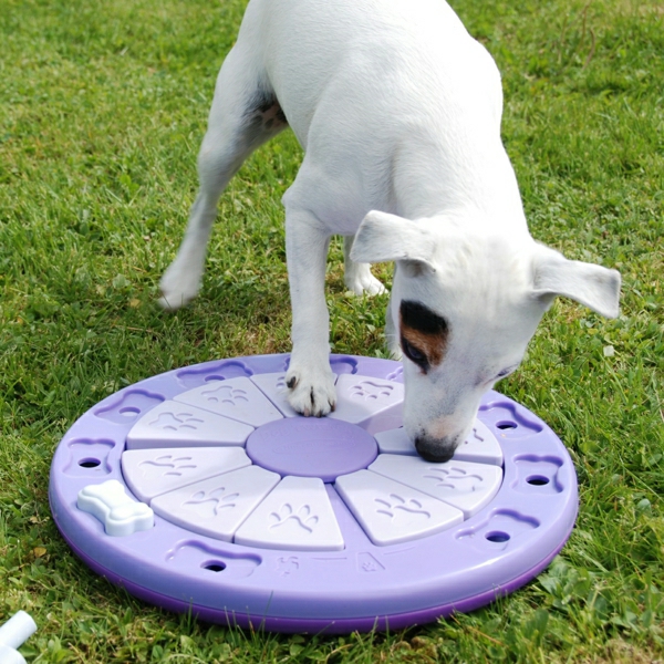 лилаво-играчка-куче-играчка-за-кучета-хладно-идея за най-кучето