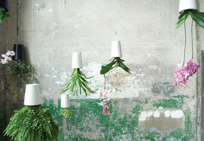 有趣-Gartendeko自己动手，化妆漂亮的挂绿色植物