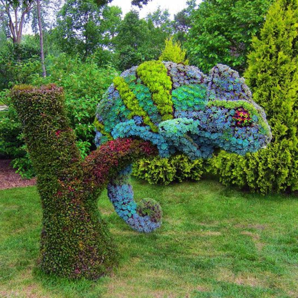 αστείο-gartenfiguren-χαμαιλέοντα-topiary-art