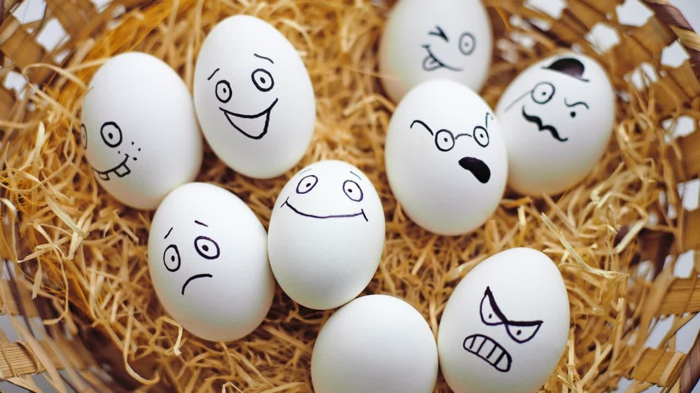 Яйцата смешни - Осигурени с перо с петна, изрисувани с различни изрази - щастливи и ядосани