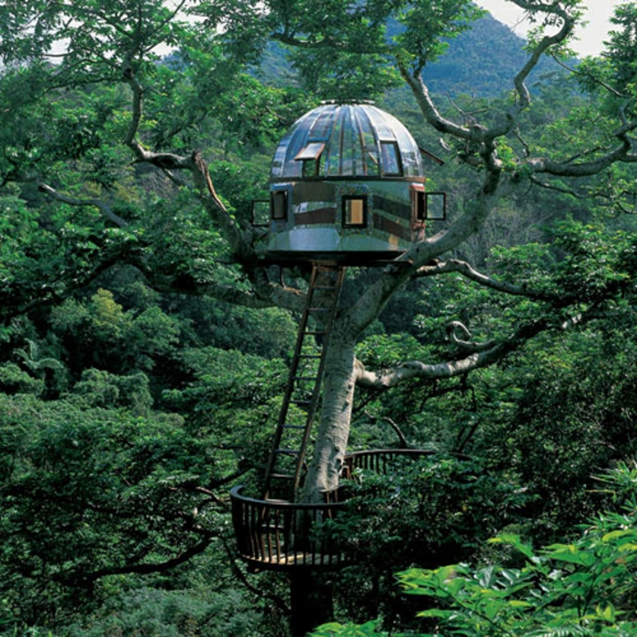 luksuzni Treehouse-zeleno-stabala-jako-zanimljivosti