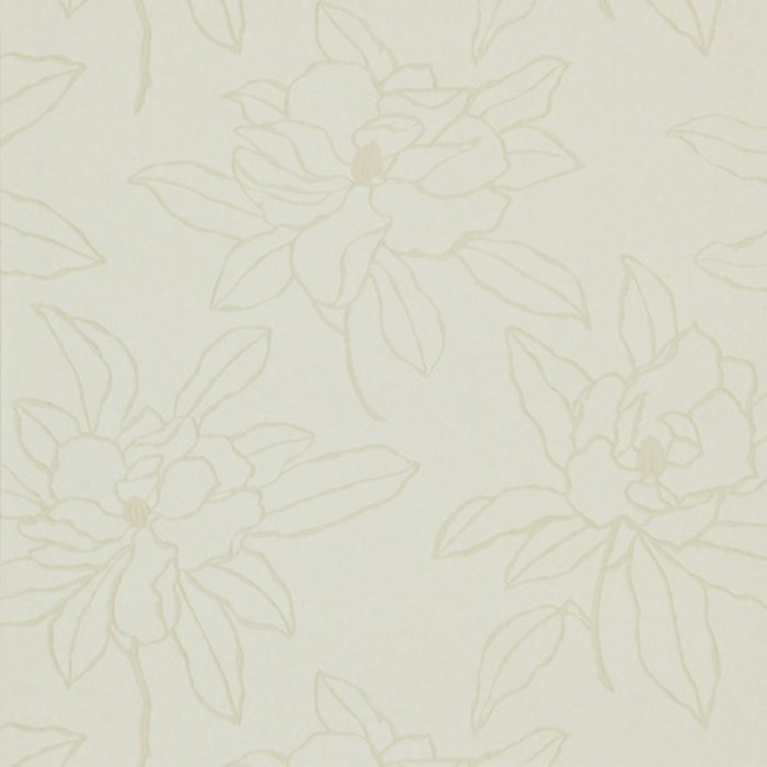 fonds d'écran en couleur magnolia - figures de fleurs