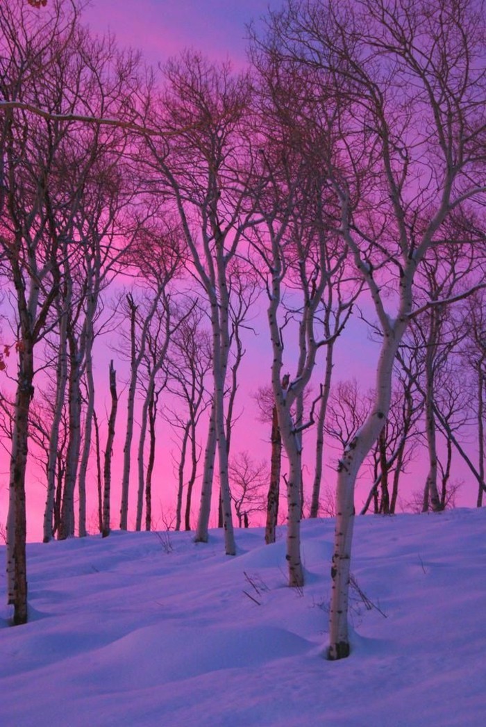 Scenic fotografije-sa-Winter dizajnira Lijepa zimska fotografija Sunset
