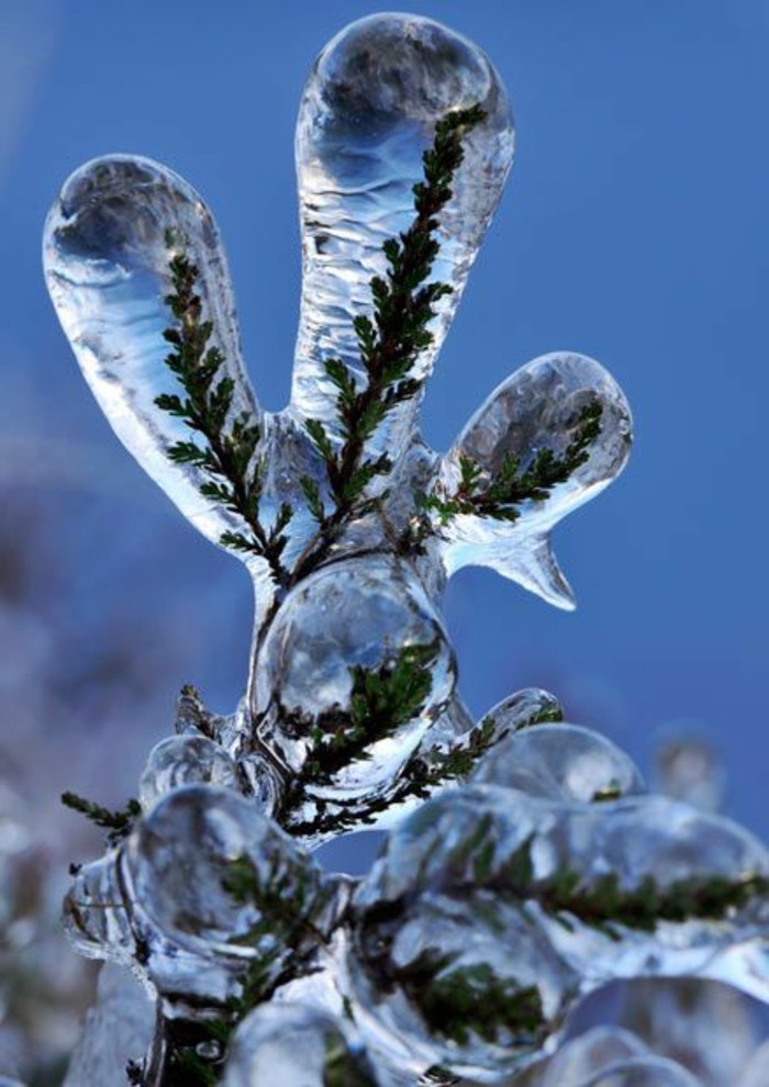 festői fényképekkel-with-téli motívumok szép téli kép Ice fagyott ágak