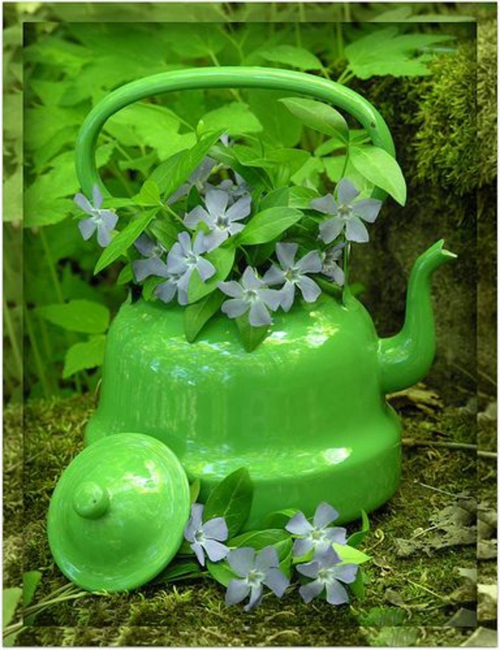 بلدي الجميلة حديقة الزهور وعاء من بين غلاية الشاي-العبث