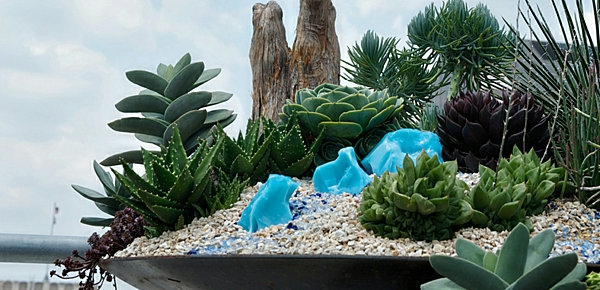 градински дизайн със зелени растения и малки камъни