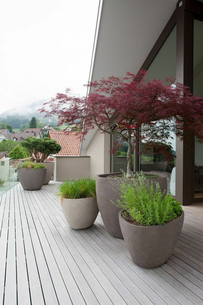 модерен предстен двор с гърнета с бонсай и зелени растения