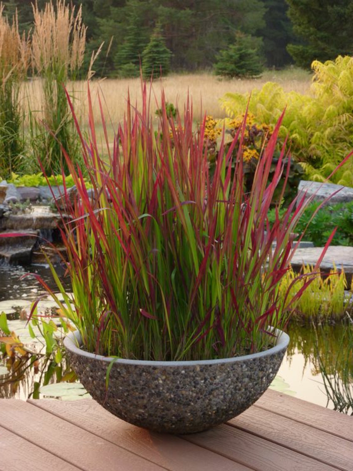 кръгла саксия, пълна с червени растения до езерото - модерен дизайн на градината