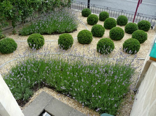 Bolas de plantas para un interesante diseño de jardín
