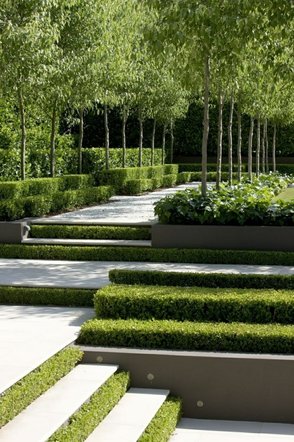 حديقة الدرج مع العشب الحديثة