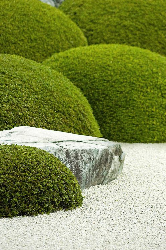 скална градина с мъх и чакъл като подови настилки - примери за градински дизайн