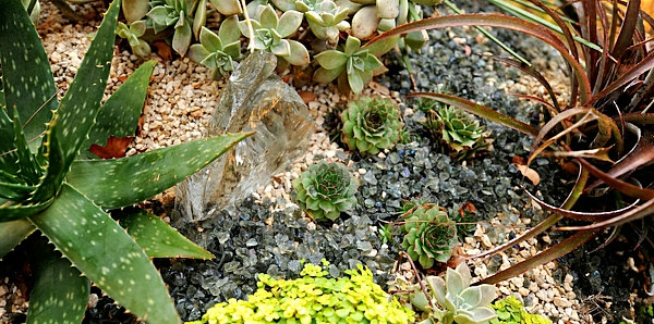 صورة من الحجارة الصغيرة المزخرفة والنباتات الجميلة