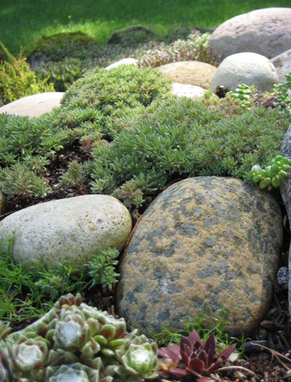 Diseño de jardín moderno con piedras redondas y plantas verdes