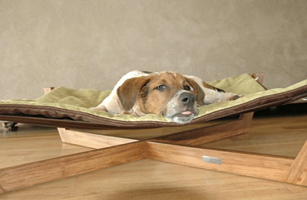 cama de perro ortopédico moderno - perro lindo se encuentra en él