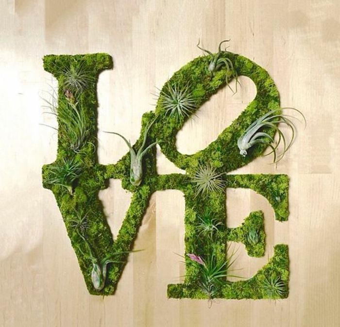 Moss grafiti s različitim sukulentima: Ljubav