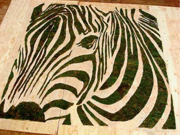 domaća mahovina slika: DIY zebra od mahovine