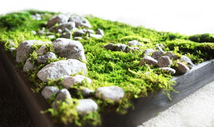 egy gyönyörű moha kép különböző méretű kövekkel